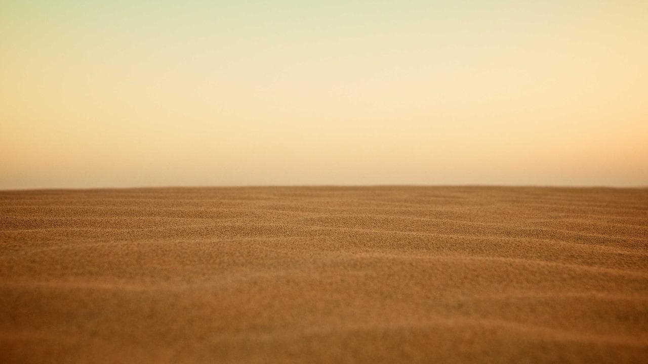 Your Guide to Build a Custom WordPress Theme From Scratch 2024